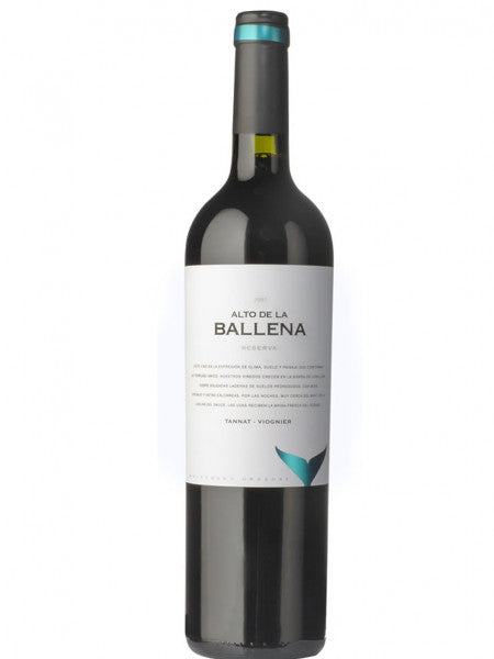 Alto de las Ballenas Tannat-Viognier